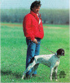 Pedigree NOEMI DI SAN PELLEGRINO Pedigree NOEMI DI SAN PELLEGRINO